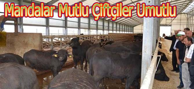 “Mandalar Mutlu Çiftçiler Umutlu”