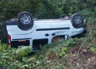 Kamyonet fındık tarlasına uçtu: 1 yaralı