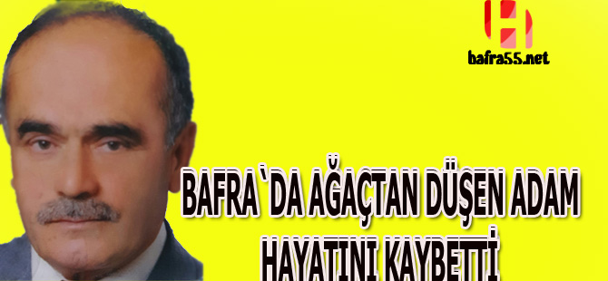 Ceviz ağacından düşen yaşlı adam hayatını kaybetti