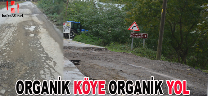 Organik köye organik yol