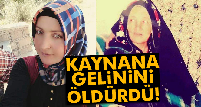 Kaynana gelinini tüfekle öldürdü