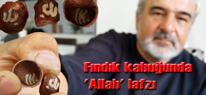 Fındık'dan çıkan mucize