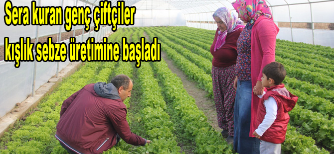 Bafra'da Genç çiftçiler hasada başladı
