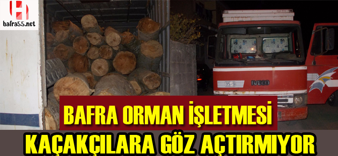 Bafra Orman İşletmesi Kaçakçılara Göz Açtırmıyor