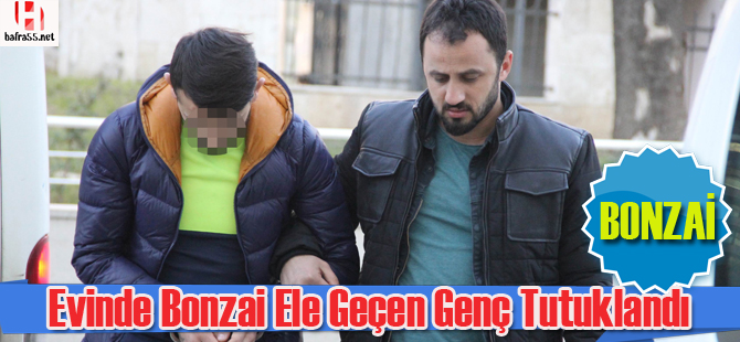 Evinde bonzai ele geçen genç tutuklandı