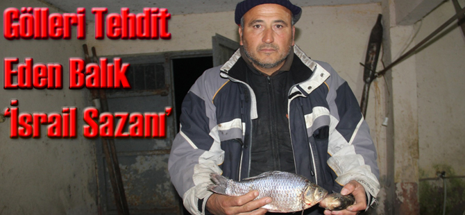 Balıkçıların İsrail Sazanı tepkisi