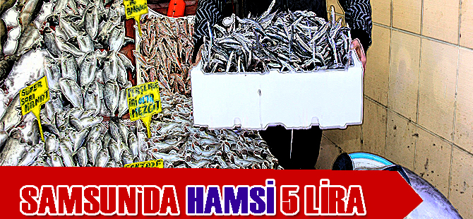 Samsun'da hamsi 5 lira