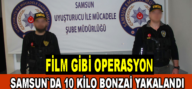 Film gibi takipte 10 kilo bonzai ile yakalandılar