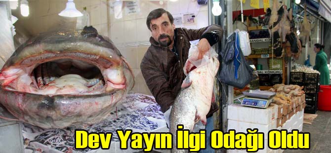 Dev yayın Balığı Şaşırttı