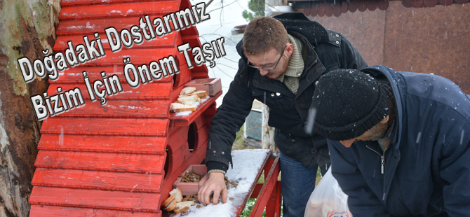 Doğadaki Dostlarımız Bizim İçin Önem Taşır