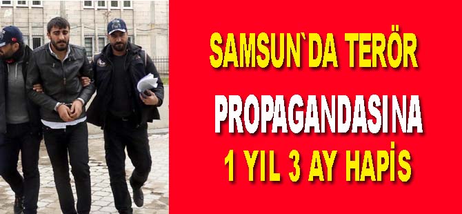 İnşaat işçisine terör propagandası suçundan 1 yıl 3 ay hapis