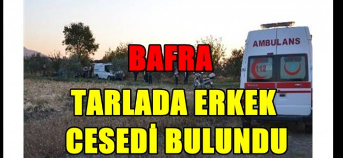 Bafra'da tarlada erkek cesedi bulundu