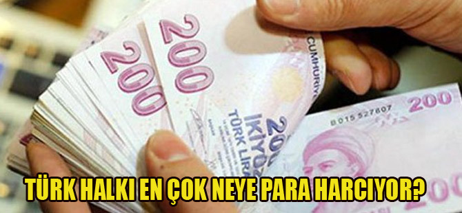 Bakın Türkler en çok neye para harcıyor