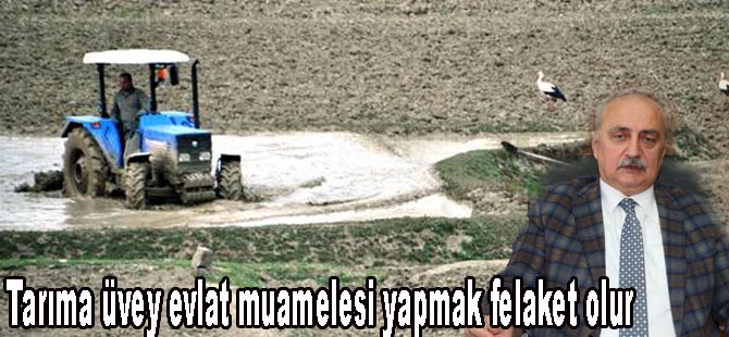Tarıma üvey evlat muamelesi yapmak felaket olur