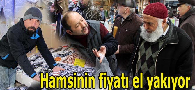 Hamsinin fiyatı el yakıyor