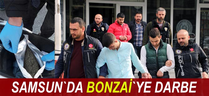 Samsun'da 2 kilo 410 gram bonzai ele geçirildi