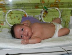 Minik Ayşe Kurtuldu