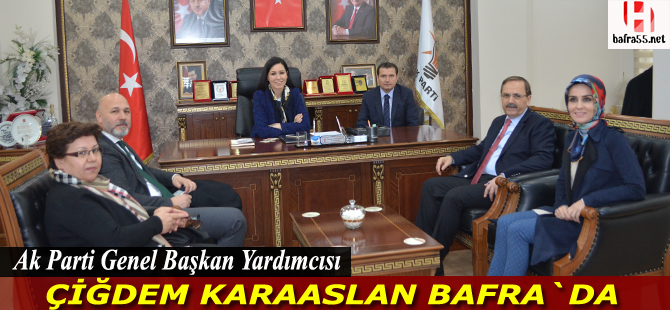 Genel Başkan Yardımcısı Karaaslan, Bafra`da