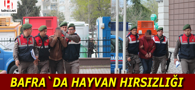 Hayvan hırsızları adliyeye sevk edildi