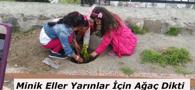 Minik Eller Yarınlar İçin Ağaç Dikti