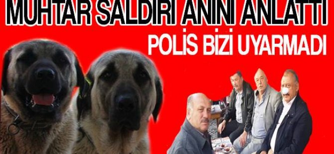 Köpek saldıran Muhtar olayı anlattı