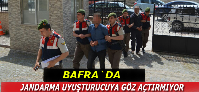 Bafra`da jandarma uyuşturucuya göz açtırmıyor