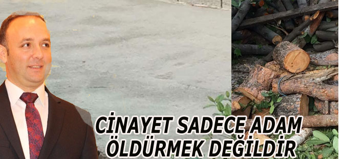 CİNAYET SADECE ADAM ÖLDÜRMEK DEĞİLDİR