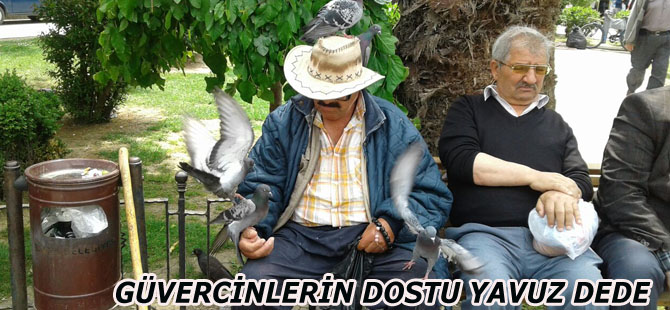 GÜVERCİNLERİN DOSTU YAVUZ DEDE