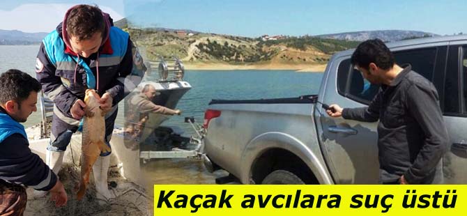 Kaçak avcılara suç üstü