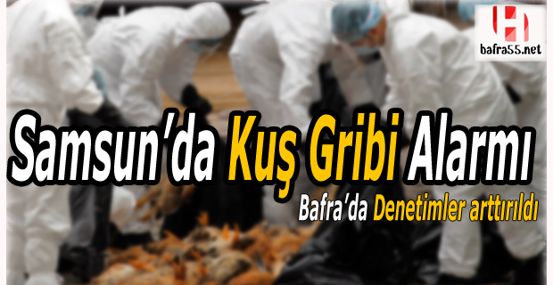 Bafra’da Kuş Gribine Önlem Denetimleri