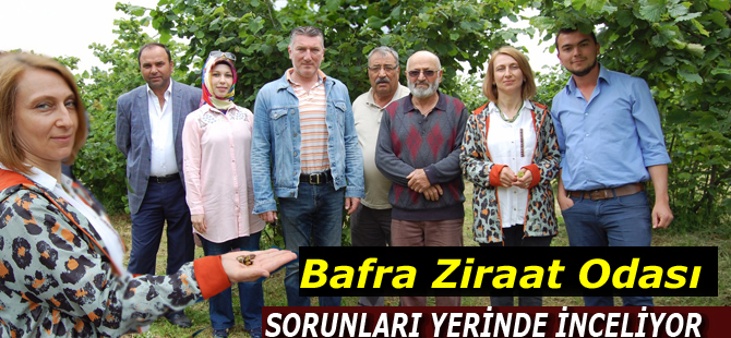 Bafra Ziraat Odası sorunları yerinde inceliyor