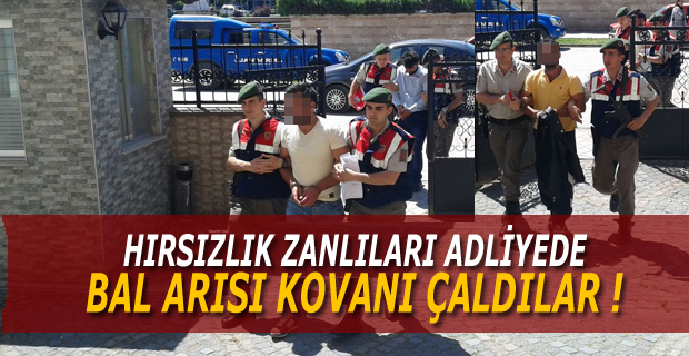 Hırsızlık zanlıları adliyeye sevk edildi