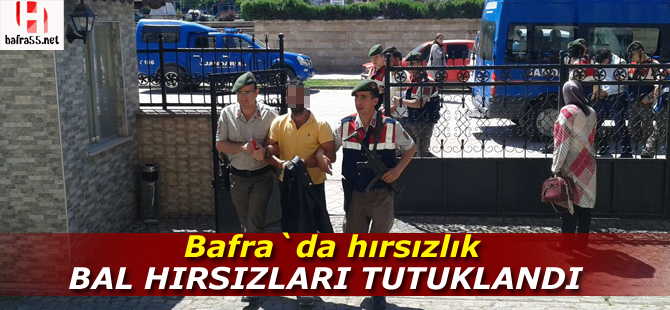 Bal hırsızları tutuklandı