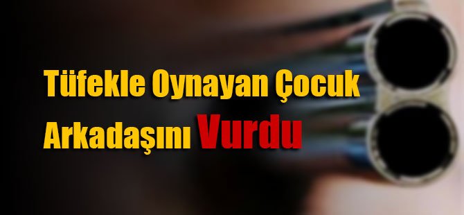 14 yaşında çocuk kaza ile arkadaşını vurdu