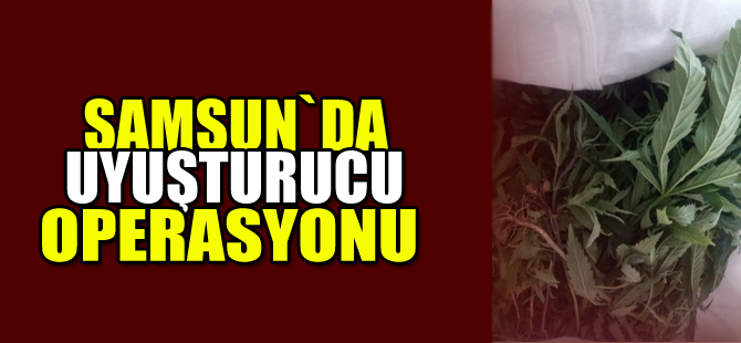 Samsun`da uyuşturucu operasyonu