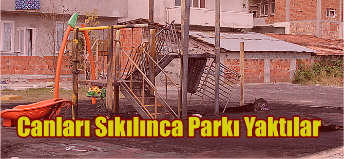 Canları sıkılınca çocuk parkını yaktılar