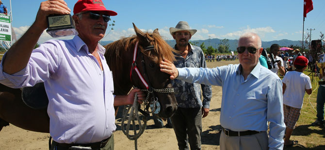 Çarşambada rahvan at yarışları