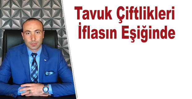 Tavuk Çiftlikleri İflasın Eşiğinde