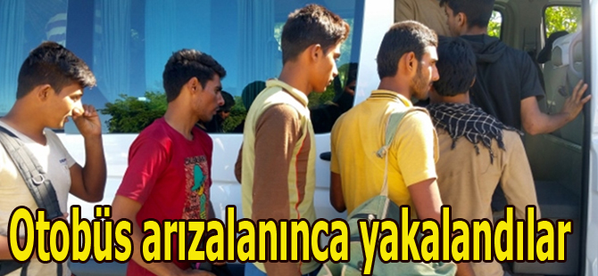 Kaçak Göçmenler Otobüs arızalanınca yakalandılar