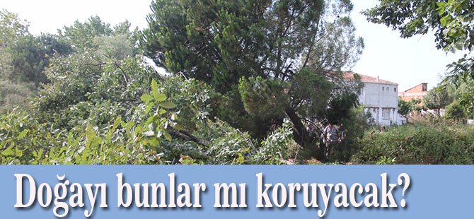Doğayı bunlar mı koruyacak?