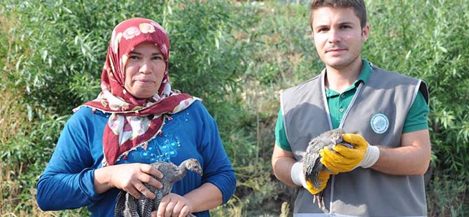 Kene-savarlar köylü dağıtıldı