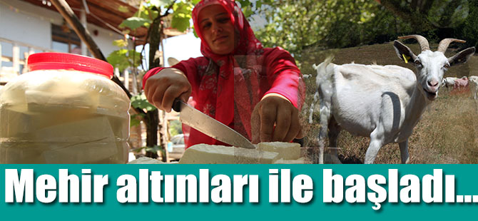 Mehir altınları ile başladı...