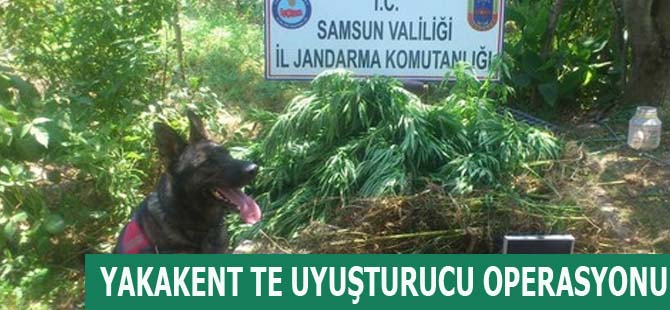 YAKAKENT TE UYUŞTURUCU OPERASYONU