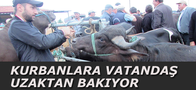 Kurban Fiyatlarında Rakamlar Fırladı Vatandaş Pazara Gitmiyor