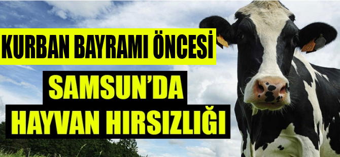 Kurban öncesi 40 baş hayvan çaldılar