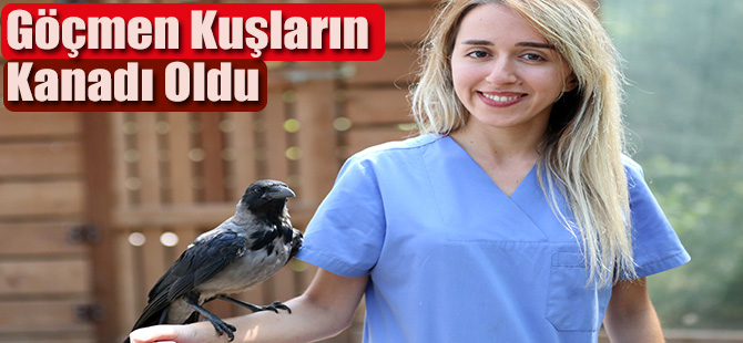 Göçmen Kuşların Kanadı Oldu