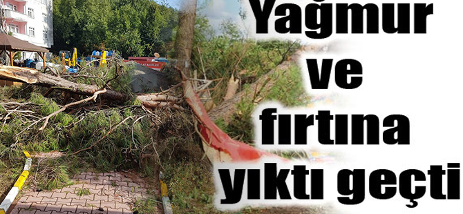 Dikmen'de Yağmur ve Fırtına Yıktı Geçti