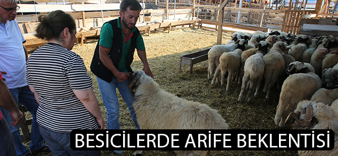 Besicilerde"arife" beklentisi