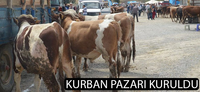 Kurban pazarı kuruldu