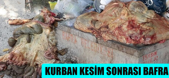 Kurban Sakatatlarını Çöpe Attılar